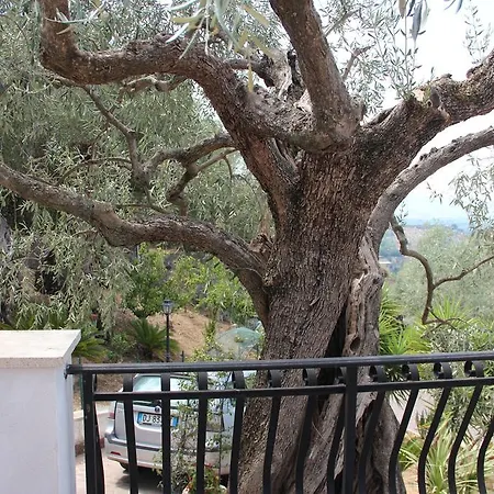 Apartment Millenovecento