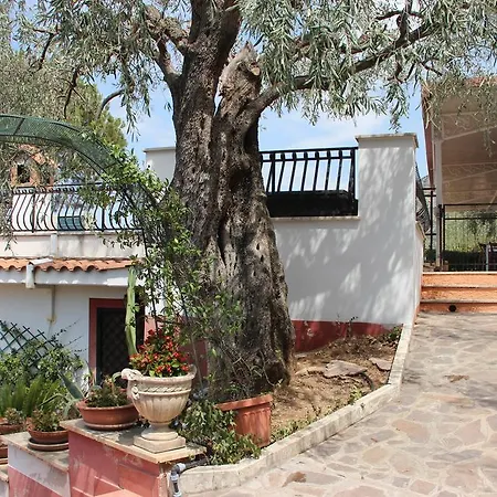 Millenovecento Apartment