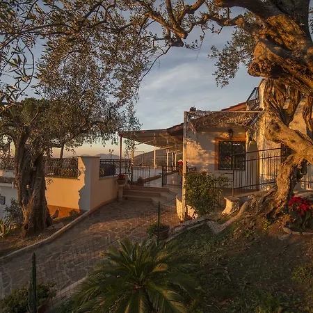 Millenovecento Apartment
